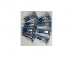 NIDECKER N42-E1 Набор болтов к диску для крепления NIDECKER 2018-19 RNTL-DISK SCREWS 8PK M6*17 (б/р)