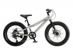 TIME TRY Велосипед TT279 2024 Серебристый 20+\
