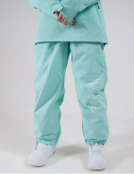 TERROR SNOW Штаны сноубодические OUTSIDE Мятный (Размер M)