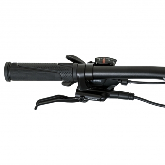 WELT Велосипед  Edelweiss 1.0 HD 27 Silver Cream 2024 Size:M