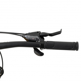 WELT Велосипед Raven 1.0 D 27 Dark Yellow 2024 Size:M